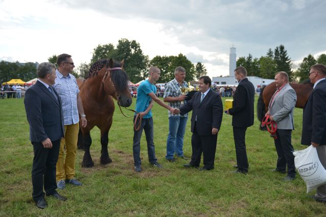 Powiatowa Wystawa Koni 2014
