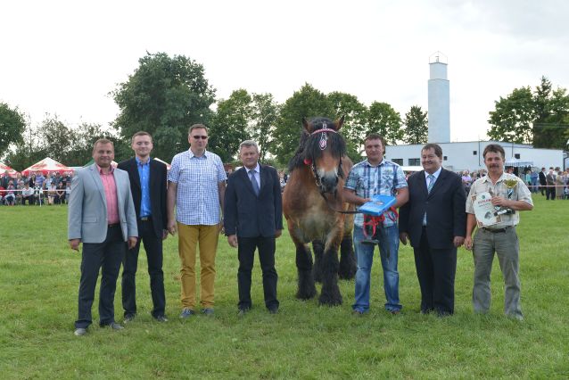 Powiatowa Wystawa Koni 2014