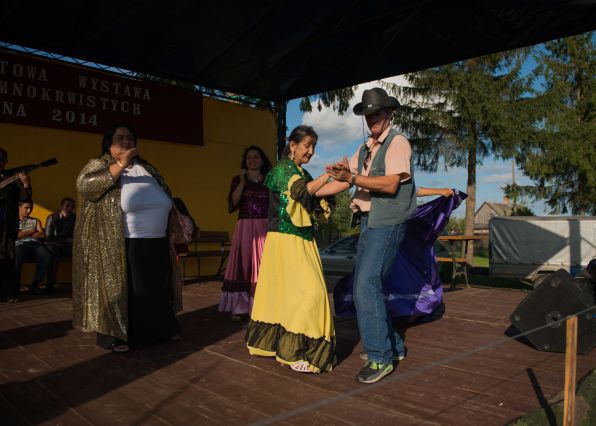 Powiatowa Wystawa Koni 2014