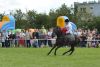 Powiatowa Wystawa Koni 2014