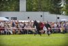 Powiatowa Wystawa Koni 2014