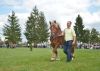 Powiatowa Wystawa Koni 2014