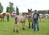 Powiatowa Wystawa Koni 2014