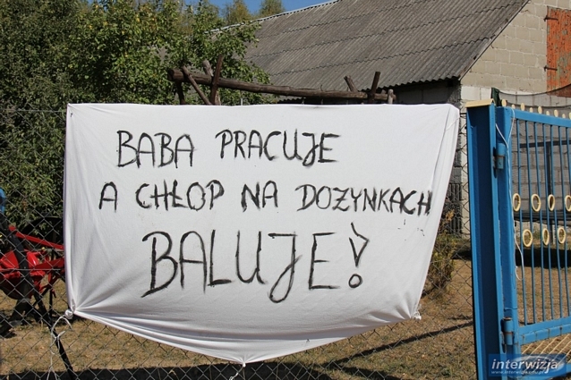 Dożynki Powiatowe Misie 2015