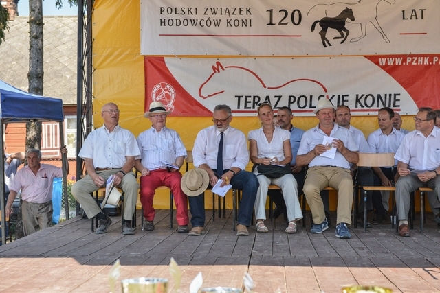 VIII Regionalna Wystawa Koni Zimnokrwistych
