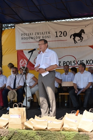 VIII Regionalna Wystawa Koni Zimnokrwistych